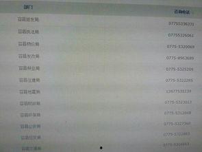 广西最新爆料新闻网站,聚焦热点事件，揭秘幕后真相