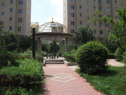 沈阳桃源新城最新爆料,揭秘未来城市生活新地标